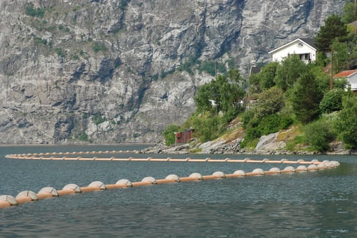 Sjøledning i Årdalsvatnet