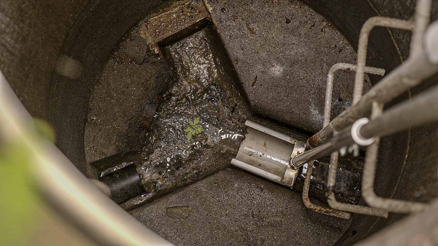 rorbloggen-pluggrensing-tore-9