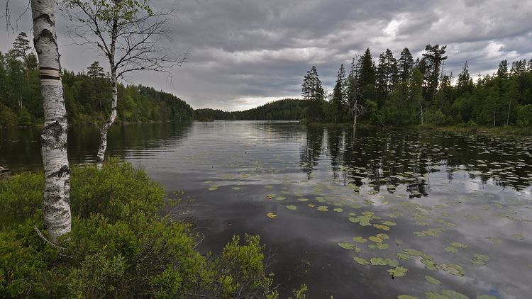 Privat vannverk sitter med et stort ansvar