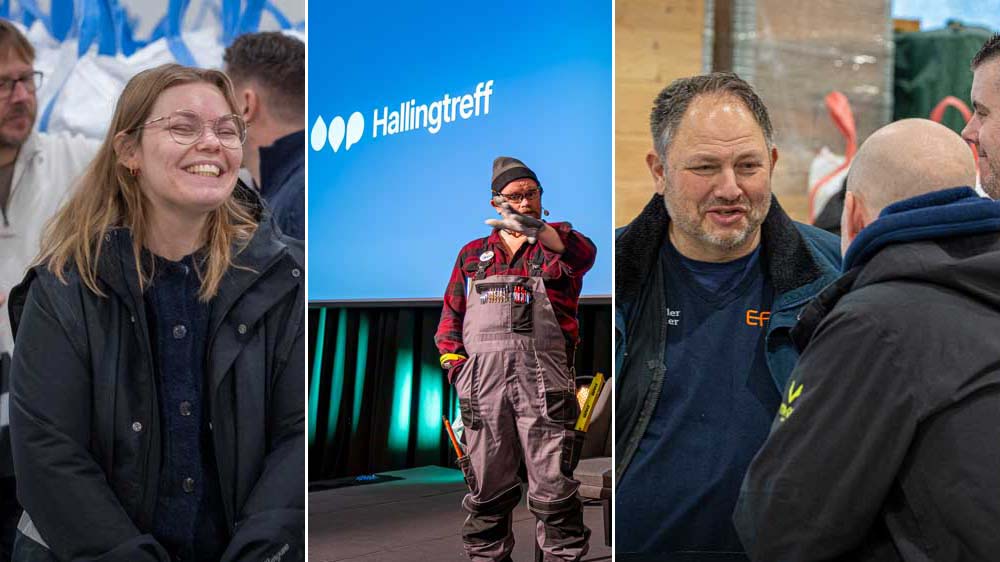 Fra bjørkekvist til AI – Hallingtreff 2027